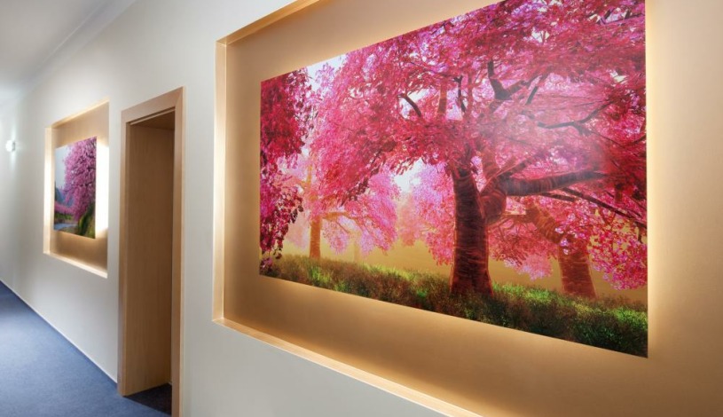 Hotel Francis Palace Františkovy Lázně